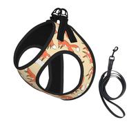 Many Foxes Print Step in Dog Harness and Leash Set,Mesh Pet Vest Harness for Small Dogs and Cats