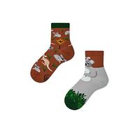 Many Mornings Koality Time Kids Socks, KOALITY TIME, 23-26