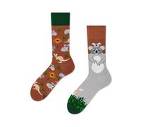 Many Mornings - Koality Time - Koala - Mismatched Socks - Koala, Kangaroo (43-46), brown