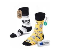 Many Mornings Raccoon Mismatched Socks, Racoon Bandit, 39-42 (Pack of 2)