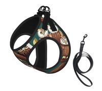 Many Owls On Tree Branches Printing Dog Summer Harness With Leash Set,Adjustable And Reflective Step-In Puppy Pet Vest Harnesses