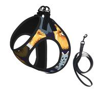 Many Pomeranians Pattern Printing Dog Summer Harness With Leash Set,Adjustable And Reflective Step-In Puppy Pet Vest Harnesses