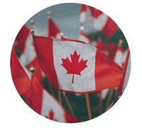 Many Small Canadian Flags Jigsaw Puzzle Challenging Round Animals Puzzle Wooden Jigsaw Puzzles for Adults Families 195 PCS