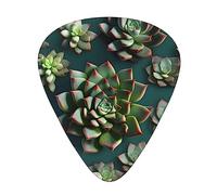 Many succulents the 12-piece guitar picks include three picks: thin, medium and heavy. suitable for electric, acoustic and bass guitars of all strengths