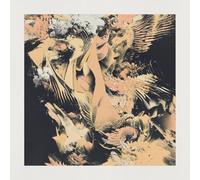 Many Voices Speak - Gestures [VINYL]