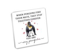 MAOFAED Penguin Gift, When Penguins Find Their Mate, Anniversary Present for Her/Him, You're My Penguin Couple Gift(penguinMate)