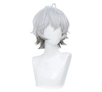 MAOMA Anime Cosplay Wig，Arknights Jaye Wig，Silver gray short Wig，with Free Wig Cap，for Christmas Carnival party Halloween Cosplay Wig
