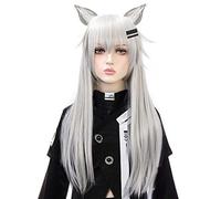 MAOMA Anime Cosplay Wig,Arknights Lappland Wig,Silver long straight Wig,with Free Wig Cap,for Christmas Carnival party Halloween Cosplay Wig