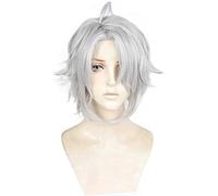 MAOMA Anime Cosplay Wig，IDOLiSH7 Yaotome Gaku Wig，Silver gray fluffy short Wig，with Free Wig Cap，for Christmas Carnival party Halloween Cosplay Wig