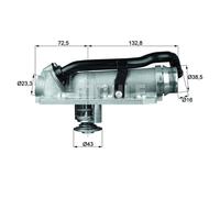 MAHLE TM 8 105 Thermostat