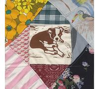 Mapache - Roscoe's Dream