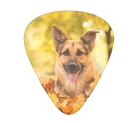 Maple German Shepherd Dog Printed Guitar Picks,12 Pack Personalized Guitar Picks For Bass Acoustic Guitar Electric Guitar Includes 0.46mm/0.71mm/ 0.96mm