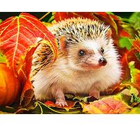 Maple Leaf Hedgehog DIY 5D Diamond Painting Kits for Adults Kids Wall Painting Gift Arts and Crafts Painting by Numbers for Adults (15.7x19.7 in)