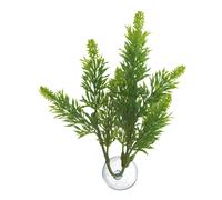 Maple leaf plant for aquarium Zoomed Betta BP24