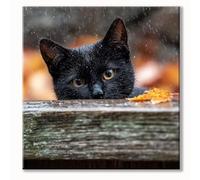 Maple Leaves Diamond Art Cat Diamond Painting, Paint by Numbers for Adults, 5D DIY Full Drill Crystal Art Embroidery Kit for Beginner, Crafts for Adults, Home Decor, Gifts for Women 12x12 inch 0b-1097