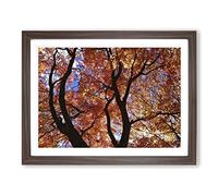 Maple Tree Leaf Autumn 2 Modern Framed Wall Art Print, Ready to Hang Picture for Living Room Bedroom Home Office Décor, Walnut A4 (34 x 25 cm)