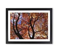 Maple Tree Leaf Autumn 2 Modern Framed Wall Art Print, Ready to Hang Picture for Living Room Bedroom Home Office Décor, Black A4 (34 x 25 cm)