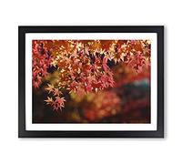 Maple Tree Leaf Modern Framed Wall Art Print, Ready to Hang Picture for Living Room Bedroom Home Office Décor, Black A3 (46 x 34 cm)