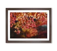Maple Tree Leaf Modern Framed Wall Art Print, Ready to Hang Picture for Living Room Bedroom Home Office Décor, Walnut A4 (34 x 25 cm)
