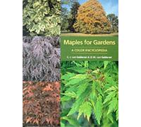 Maples for Gardens: A Colour Encyclopedia