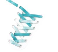 MAQDDO 5 Pair Colourful Shoelaces Elastic Metal Press Lock No Tie Shoe Laces For Sneakers Easy To Install For Kids Adults(Lake green)