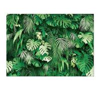 MAQTT 10x8FT Jungle Palm Wildlife Park Photo Backdrop Tropical Rainforest Plant Photography Background Baby Shower Party Banner Friends Family Party Decor Supplies