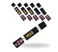 MAR | Martial Arts Belt, Taekwondo Master's Black Belt, Block Grading Belts, Block Ranking Belts; Polyester Silk Satin Fabric - Expert Black Belt (250cm)