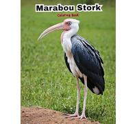 Marabou Stork Fun! A Kids' Coloring Book with Simple & Sweet Designs! (BIRDS COLORING BOOKS)