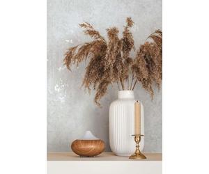 marburg Wallpaper White Grey Concrete Look Plain Structure Modern for Living Room Bedroom Kitchen 10.05 x 0.53 cm