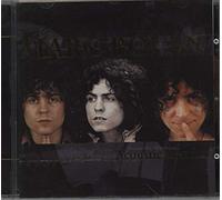 Marc Bolan - Acoustic warrior