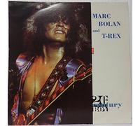Marc Bolan and T Rex - Best of the 20th Century Boy [VINYL]