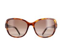 Cat Eye Havana Gold Brown Gradient Polarised MARC 528/S Marc Jacobs Brown One Size
