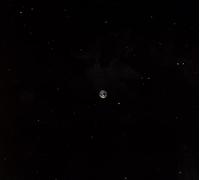 Marc Ribot's Ceramic Dog - Hope