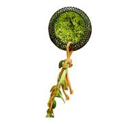 MARCBUSE Reptiles Habitat Climbing Hideouts Safe Mounting Reptiles Climbing Accessory For Geckoes And Small Pet Metal Geckoes House