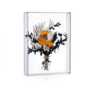 MarccTipton 9x12 Shadow Box Frame, DIY Tabletop Display Case, All Clear Memory Box for Dried Flowers/Kids Room/Birthday/Wedding/Party Decor, Box Only, NO Back Picture Holder( 1.75" Interior Depth)