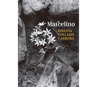 Marcelino: Decires de un hombre: 88 (Ficción)