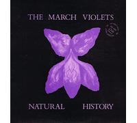 MARCH VIOLETS - Natural History