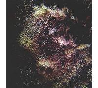 Marcia Bassett & Helena - Lapidary [Import] [VINYL]