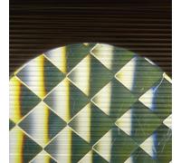 Samara Lubelski, Marcia Bassett - Indexical/Rhizome