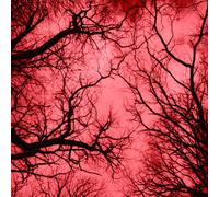 Marco Colonna Red Planet (CD) (US IMPORT)