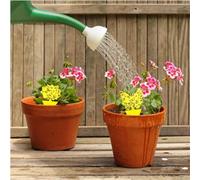 Marco Paul 10Pcs Yellow Sticky Trap Fly Paper Traps Fruit Glue Catcher Flies Insect Aphids