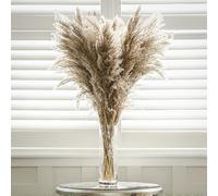 Marco Paul 12pc Natural Dried Pampas Grass Bouquet for Home Decor - Beige Fluffy Artificial Flowers - DIY Boho Plant for Floral Arrangements and Decorations