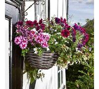 Marco Paul 14'' Pinto Faux Rattan Hanging Basket