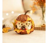 Marco Paul 17Cm Owl In A Pumpkin Autumn Décor