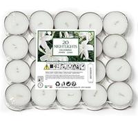 Marco Paul 20 Pack Jasmine Scented Candle Tealights in White Marco Paul White