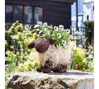 Marco Paul 26cm White Rattan Sheep Garden Planter in Natural Marco Paul Natural