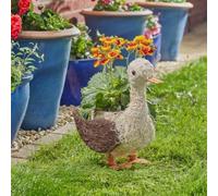 Marco Paul 34cm Cream Rattan Duck Pre Lined Garden Planter in Light Brown Marco Paul Light Brown