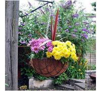 Marco Paul 3Pc Hanging Flower Basket 16''