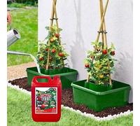 Marco Paul 3pc Tomato Plant Pots With Tomato Feed Plant Supports in Red Marco Paul Red
