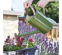 Marco Paul 4.5L Sage Green Metal Watering Can Outdoor Rust-Resistant